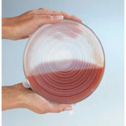 Wenko Silikon Abdeckhauben Stretch 6-teiliges Set -Günstiges Wenko Geschäft unnamed file 10038