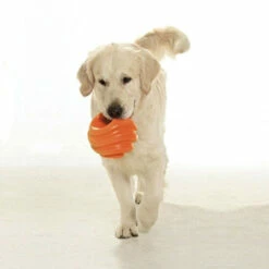 Wenko 2er Set Hundeball Orange | Hunde Ball Spielball | Hundespielzeug Gummiball -Günstiges Wenko Geschäft unnamed file 13558