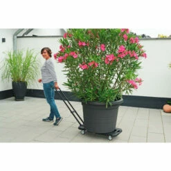 Wenko Transport-Profi -Günstiges Wenko Geschäft unnamed file 17104