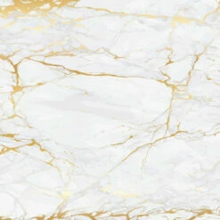 Wenko Glasrückwand Marmor Gold 60 X 70 Cm 18 Wenko Glasrückwand Marmor Gold 60 X 70 Cm -Günstiges Wenko Geschäft unnamed file 17481