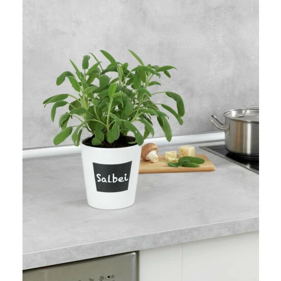 Wenko Kräutertopf Waia 5 Wenko Kräutertopf Waia – Bild 3