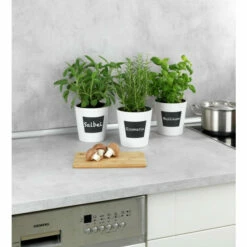 Wenko Kräutertopf Waia 18 Wenko Kräutertopf Waia -Günstiges Wenko Geschäft unnamed file 17798