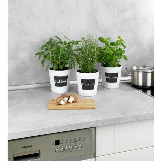 Wenko Kräutertopf Waia 6 Wenko Kräutertopf Waia – Bild 4