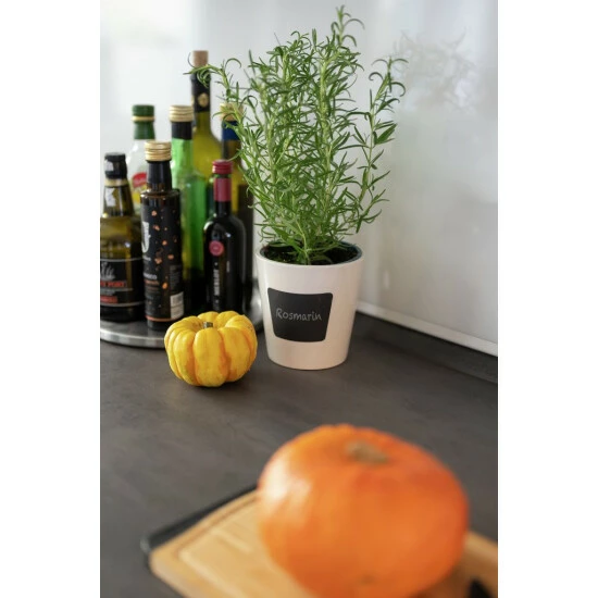 Wenko Kräutertopf Waia 11 Wenko Kräutertopf Waia – Bild 9