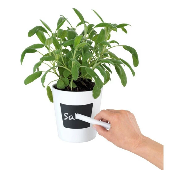 Wenko Kräutertopf Waia 13 Wenko Kräutertopf Waia – Bild 11