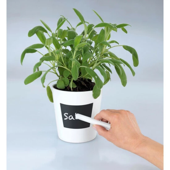 Wenko Kräutertopf Waia 15 Wenko Kräutertopf Waia – Bild 13