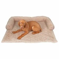 Wenko Tier-Couch Für Das Sofa -Günstiges Wenko Geschäft unnamed file 21269