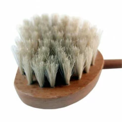 WENKO Kratzbürste Mit Naturborsten -Günstiges Wenko Geschäft unnamed file 22652