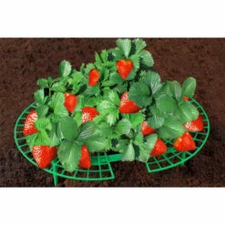 Wenko Erdbeer-Reifer 15er Set -Günstiges Wenko Geschäft unnamed file 25241