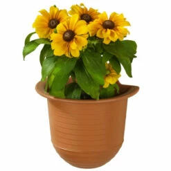 Wenko Blumentopf Mit Bewässerungs-System 10 Wenko Blumentopf Mit Bewässerungs-System -Günstiges Wenko Geschäft unnamed file 26931