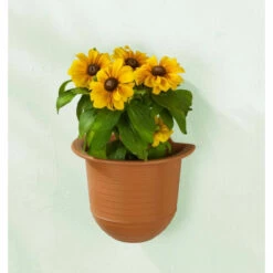 Wenko Blumentopf Mit Bewässerungs-System 11 Wenko Blumentopf Mit Bewässerungs-System -Günstiges Wenko Geschäft unnamed file 26932