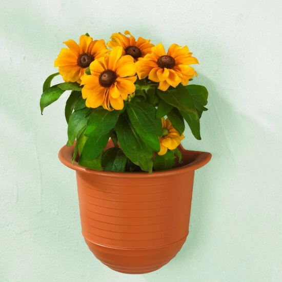 Wenko Blumentopf Mit Bewässerungs-System 8 Wenko Blumentopf Mit Bewässerungs-System – Bild 6