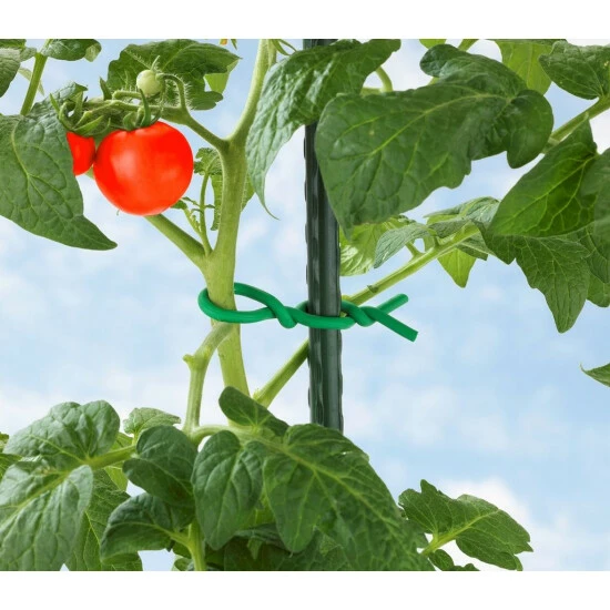 Bindedraht Für Tomaten, Super-Soft, 6 M, WENKO - WENKO 4 Bindedraht Für Tomaten, Super-Soft, 6 M, WENKO - WENKO – Bild 2