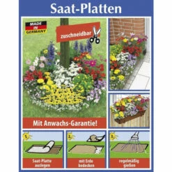 Saat Platte, Blumen Mix Platte, Rund 60 Cm, Mischung Aus Frühling / Sommer Von Wenko