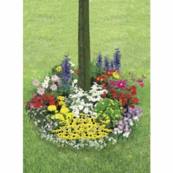 Saat Platte, Blumen Mix Platte, Rund 60 Cm, Mischung Aus Frühling / Sommer Von Wenko -Günstiges Wenko Geschäft unnamed file 27309