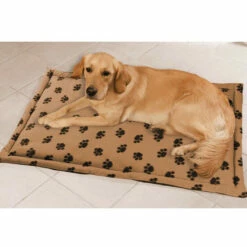 Wenko Multi Tierdecke Größe L -Günstiges Wenko Geschäft unnamed file 27829