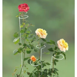 Blumenstütze 2in1, 5 Stück, WENKO