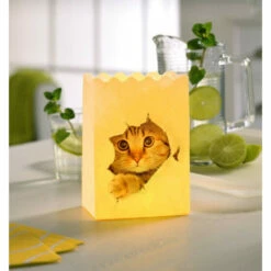 Wenko LUMINARIA Lichtertüte Katze - 4-teilig, Windlicht, Papier, 9 X 26 X 15 Cm, Mehrfarbig Lichttüten Candlebags Dekoration Licht Teelichthalter