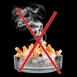 Wenko 2er Set Drehaschenbecher Edelstahl Aschenbecher Windaschenbecher 9 X 5 Cm Drehascher Sturmaschenbecher Wind Ascher -Günstiges Wenko Geschäft unnamed file 3021