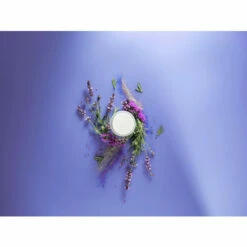 Wenko Vitamin C-Aroma-Filter Vitapresso 17 Wenko Vitamin C-Aroma-Filter Vitapresso -Günstiges Wenko Geschäft unnamed file 30756