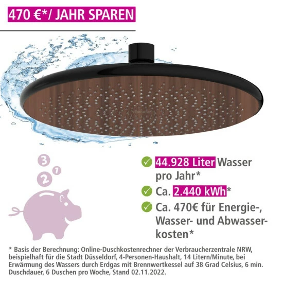 Wenko Regenduschkopf Watersaving Wood 5 Wenko Regenduschkopf Watersaving Wood – Bild 3