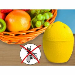 Wenko Fruchtfliegenfalle -Günstiges Wenko Geschäft unnamed file 31817