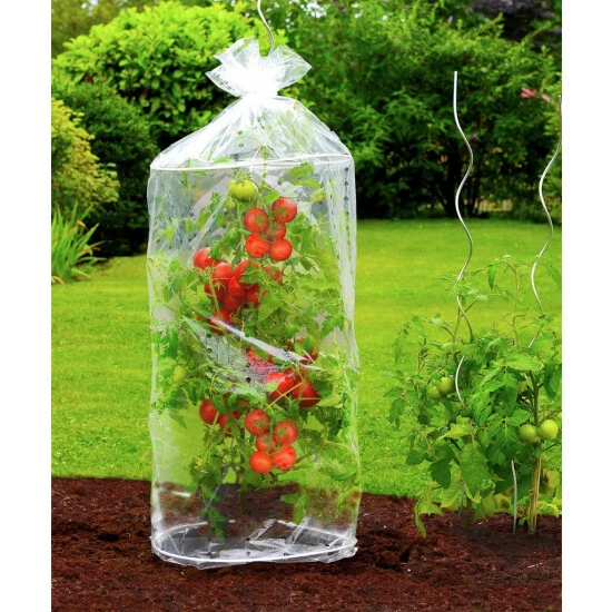 Wenko Tomaten-Haube 2er Set 4 Wenko Tomaten-Haube 2er Set – Bild 2