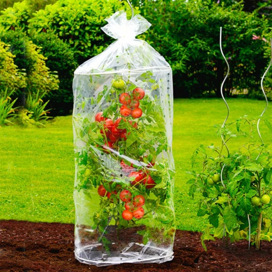 Wenko Tomaten-Haube 2er Set 11 Wenko Tomaten-Haube 2er Set – Bild 9