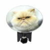 WENKO 21386100 Waschbeckenstöpsel Pluggy® XL Grim Cat - Abfluss-Stopfen, Für Alle Handelsüblichen Abflüsse, Kunststoff, 6.2 X 6.6 X 6.2 Cm, Mehrfarbig -Günstiges Wenko Geschäft unnamed file 32218