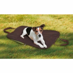 Wenko Tragbare Hundedecke Hunde-Taschenbett -Günstiges Wenko Geschäft unnamed file 6407