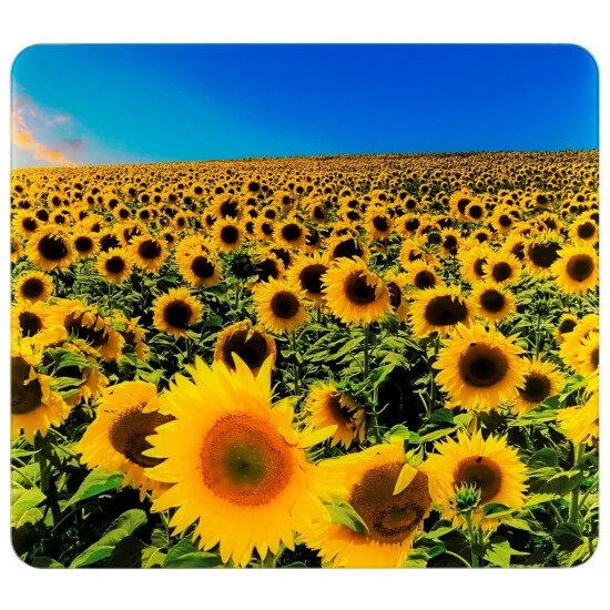 Wenko Multi-Platte Sonnenblumenfeld 5 Wenko Multi-Platte Sonnenblumenfeld – Bild 3