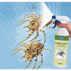 Wenko Spinnen-Schreck