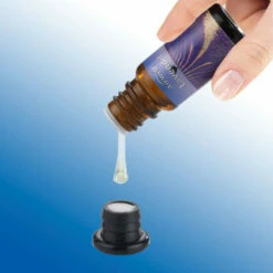 Wenko Kleiderbügel Dry 4er Set Edelstahl 13 Wenko Kleiderbügel Dry 4er Set Edelstahl -Günstiges Wenko Geschäft unnamed file 8258