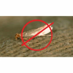 WENKO Natürliches Zedernholzöl 18 Ml, Allrounder Für Haut, Haare, Gesundheit Und Stimmung. Großmutters Hausmittel Gegen Kleidermotten Und Div. Ungeziefer. -Günstiges Wenko Geschäft unnamed file 9735